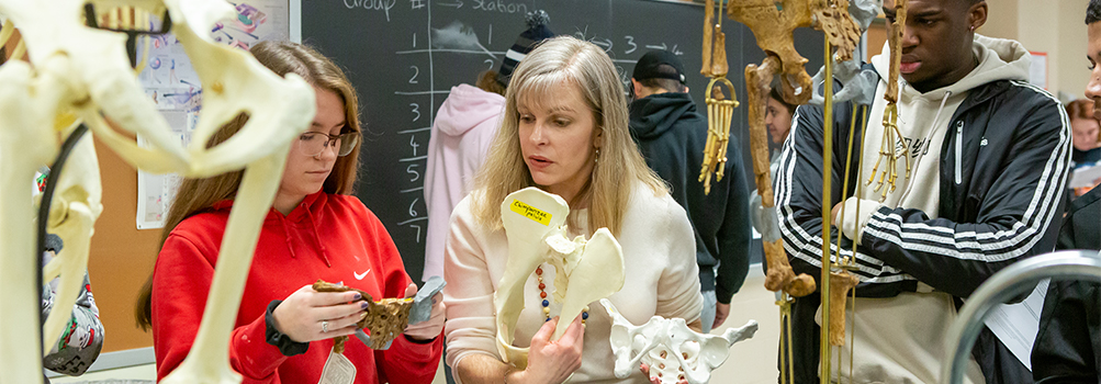 Dr. Cassandra Miller-Butterworth discusses primate bones with students during a biology lab.