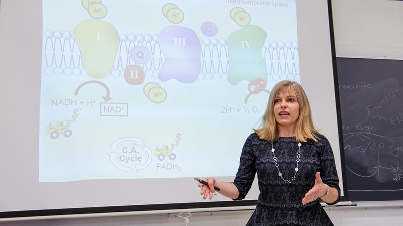 Dr. Cassandra Miller-Butterworth teaches a biology class.
