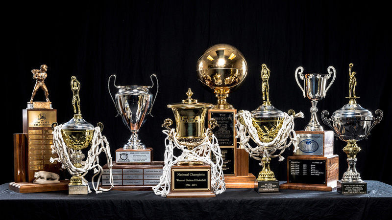 Several of Penn State Beaver's athletics trophies.