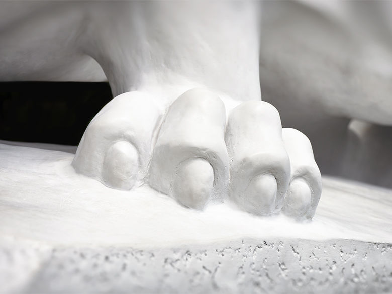 a paw of the Nittany Lion statue