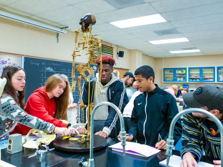 A group of students study a model of a skeleton in a biology laboratory.