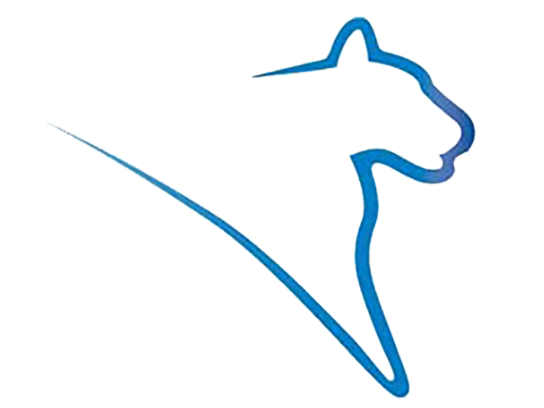 Lion path logo