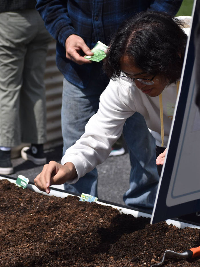 A student leans down to plant a seed at the Berks garden