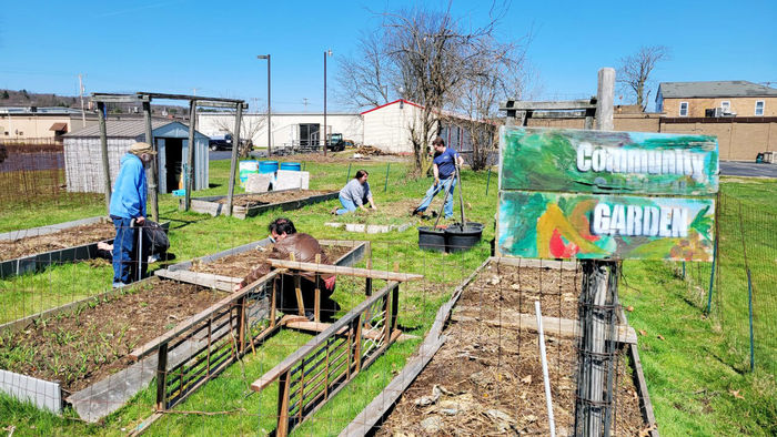 Volunteers bend over raised garden beds at Penn State Shenango and tend to the plants