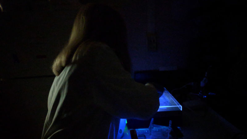 Baden Academy student Kaitlyn Desrochers works on a DNA sample in Cassandra Miller-Butterworth's laboratory.