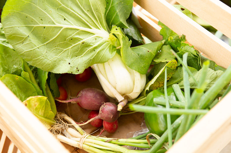a box of vegetables including pak choy, radishes, green onions and peppers