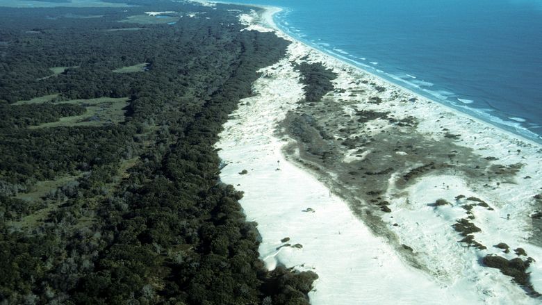 barrier island off Georgia