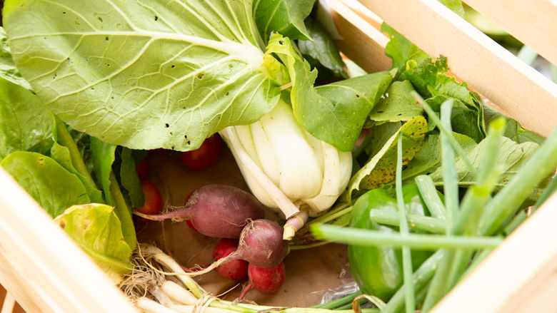 a box of vegetables including pak choy, radishes, green onions and peppers