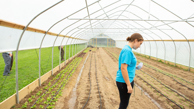 A student stands in the high tunnel
