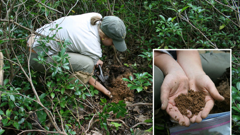 Person digging in soil, inset image shows soil in hands