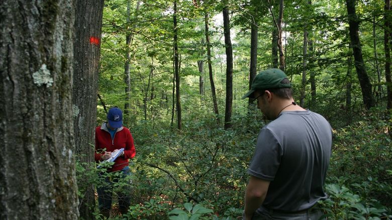 researchers in forest