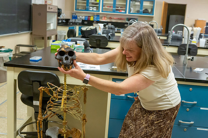 The professor stands to the right of a small skeleton as she assembles its head.