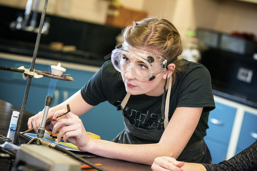 Beaver Science Challenge