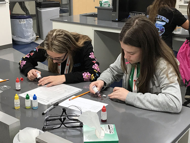 Two seventh grade female students sit at a gray lab table and squeeze red dye into trays.