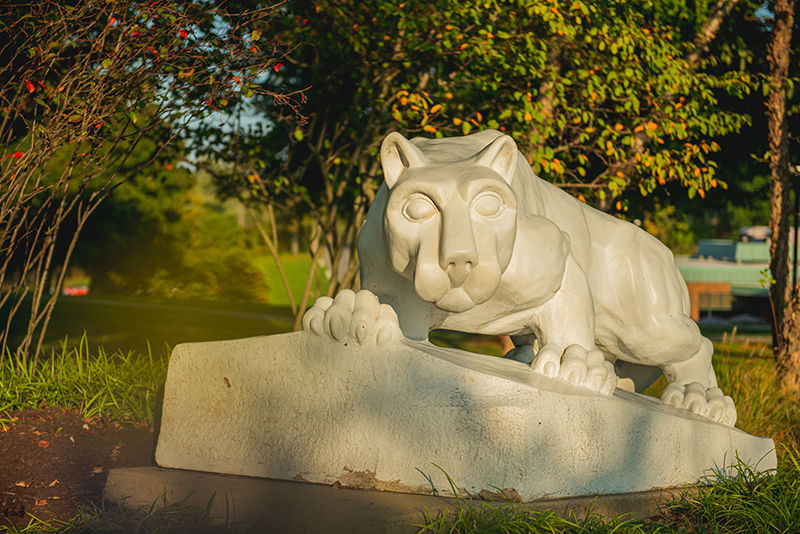 A photo of the Lion Shrine in the evening autumn light.